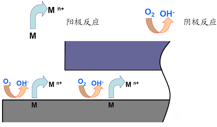 陽極和陰極反應