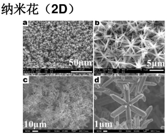 二維納米材料：納米花