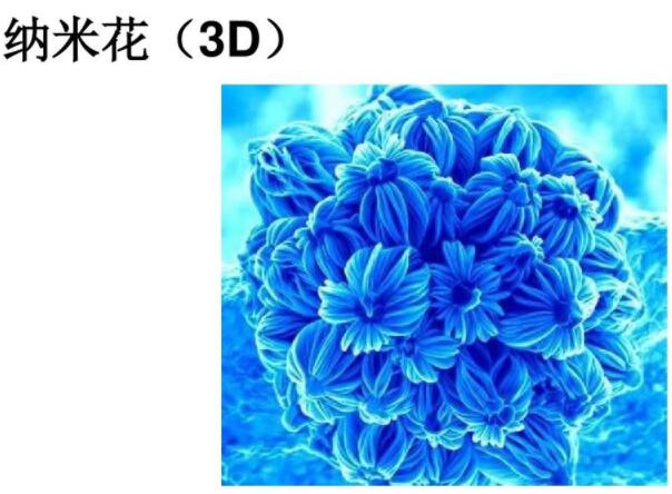 三維納米材料：納米花3D